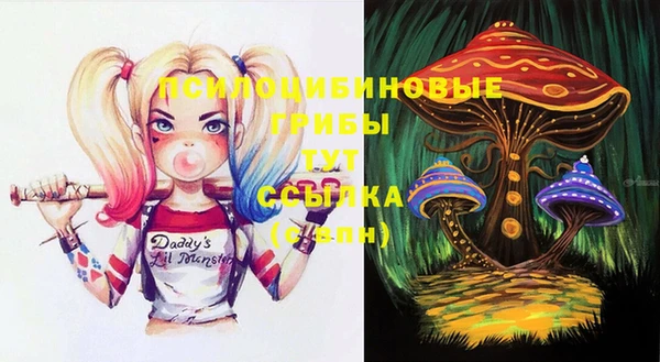 jwh Корсаков